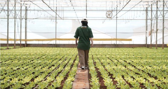 Thư viện ảnh 13